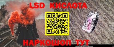 индика Пугачёв