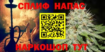 индика Пугачёв